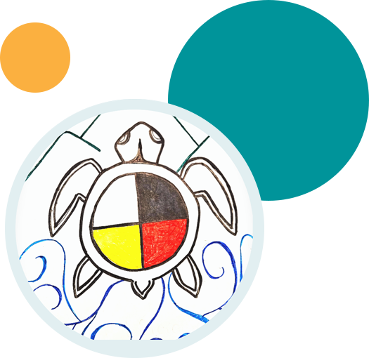 A drawing of a turtle from the Indigenous resources.